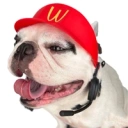 Coin image for 4neSyzJmcSWQF58DKHdo7FNzJDDKSgaaQqrzuSXS5U6g