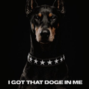 Coin image for 4oiBYkiQ4ehc51sxYnyGAoej9ByycynUmPrpznEgdoge