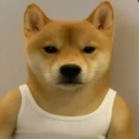 Coin image for 4raHtoY6moMvFSHcM4Uvsvjsb8Ukmao2qZaArs2ybonk