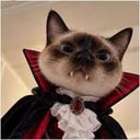 VAMPCAT