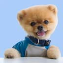 JIFFPOM