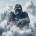 HARAMBE