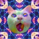 Coin image for 4wqo2T7pHG9JUZwvcFnEsLsHYfvgfejciW3w4yoRKz2p