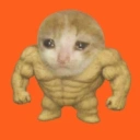 Coin image for 4xmsYdujKGWvHiJ1wnDd6APSneE141etWtpoLcusbonk