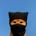 Coin image for 4xqsJaKM9T5emfv9Jk6gqg5MMJU8n8zLcvCKZ7Uvbonk