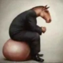horse with ballsack