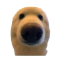 Coin image for 5CZJHHqpwitYxmfVpdNqWAXqxvPXypntkackt3kZbonk