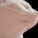 Coin image for 5HEjABhztBX9wAupzfEtMXVmqKevMZkCYr3JpFDXBUB1