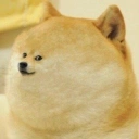 werf