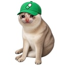 PUMPCAT