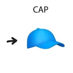 Capture Anything Public logo