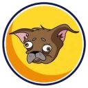 Coin image for 5NL9B9hSEcXMj35cq65RCoUvQhH4F8XsTXwq8VJhjfrZ