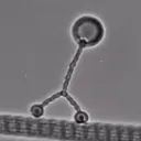 Coin image for 5V5EkQjwxkKHuYzmkz7nxchDbuyhxN186B9UssP9CkY2