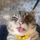 RIGBY