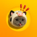 Coin image for 5Ygcr1Nn1g4XwBPbh9sg3ur5LNFx9vgPWdHEaA1Dbonk