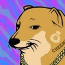 Coin image for 5Zotazg5HJDQAq5QMpMkWFxaFoxUkfceBjsrHu9WBAGS