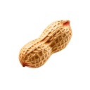 NUT