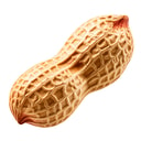 NUT