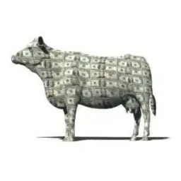 Coin image for 5eVY7NT4rm3jNUPb1XgdAstZgGqMZXV6VN5hpAmRa9Se