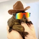 Coin image for 5gWenMN8atDNY6M88gDoKeu3tQCxpEjBJcuhcC7jpump