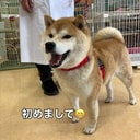 Coin image for 5hnNsAudkWsHT5scf8K8Ptsky2gtroDpSrntzXT9doge