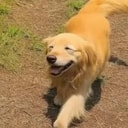 MARU