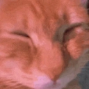 Coin image for 5jimHAg4gTsQxYBVjAGSeuYnq88guw1XnwysmHY1eLW2