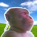 Coin image for 5quRextWKqwVVAZkVSbWcW4VsJpTefAamsCgC6TPbonk
