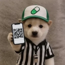 ref