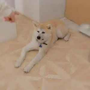 Coin image for 5uogYh91kBwC4W69XH3kaVKDvncLDJgwiF7sx4FDdoge