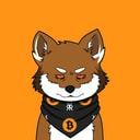 Coin image for 62Z3Cz2cSEmqNfYXWSsHyHTisXJrGJS8vfgLumULmoon