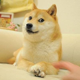 Coin image for 6413fXUHJGF7qMfvjeP1tK8KXvVWzbEpQSeG2jQ3pump