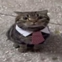 sir