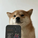 SDOG