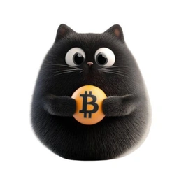 Coin image for 6EqeqirkPRupYquSwuu6BZkdw8LfdeYrSGEWqGSpqnft