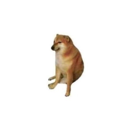 Coin image for 6HjQFoVBm2dkVnzSc9K2h6dTL7NR9zCyRqVUHcgwpump