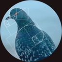 Coin image for 6PD4iE9wfoYBF6rg5U6cSuDWizogvUBuxwhixcFGcbx8