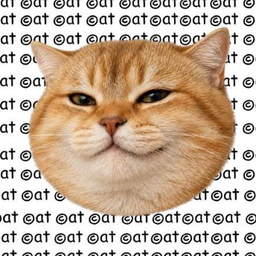 Coin image for 6PxNjf12KXnvxEKZ7hPXfKkGUiw7roYBycsoXGnxpump