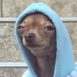 Coin image for 6SkPXQWxCCNfi8kwoMvhpmvdHCbykBCS7PxbE7bb6BMr