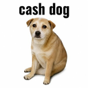 Coin image for 6TesFWvRVyJs8YWXxan6ayhpaAoKnKBtV8wXbzFtFmAY