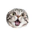Coin image for 6UbFHjWDRgL4iTJHzc8Nq1FcuaNf4tUshJnnMF8Dbonk