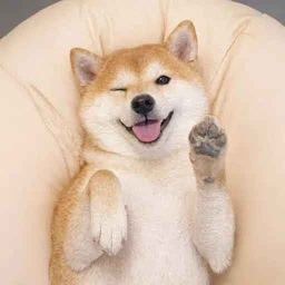 Coin image for 6XhMd7XRJB4P5bWQrzMaeJqYacgn5iBuACxUYyUBdoge
