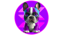 Coin image for 6e5tVBbT9zqjZwMkhQaYQtCAGd5cRvZA2pysP28SoNi6