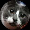Coin image for 6fUQ3Kz2F3xjFGDE45DzmFhEUCgddqfH73aFYCy9g1V5