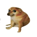 Coin image for 6fVqNv2eP3rVrtvWHAUehVGNtSq2QcPB2S8keLrubonk
