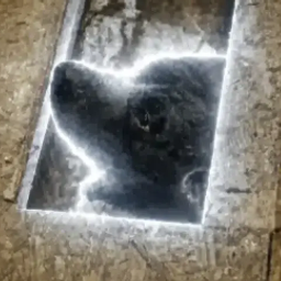 Coin image for 6g3y9EpbgSQooVnhPp3SPeofzseWuzMqT8PLeEb8pump