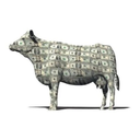 Coin image for 6gqLTdL1kfxqhcRpD6Vyrim2BzZBNS7HsLZedJttbrrr