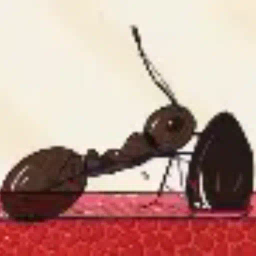 Coin image for 6krGUFxFTyfqs3a1drMyZKyz8H35NxEnMHfD5hMGpump