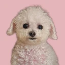 Coin image for 6mwEqau1eKHch1QYCTRv5sdnGtJzVouzaLbKY5LDdoge