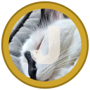 Coin image for 6twTb3YcuJkfTQyFNXXYzH77rLPuYATFF3boBno7khnK